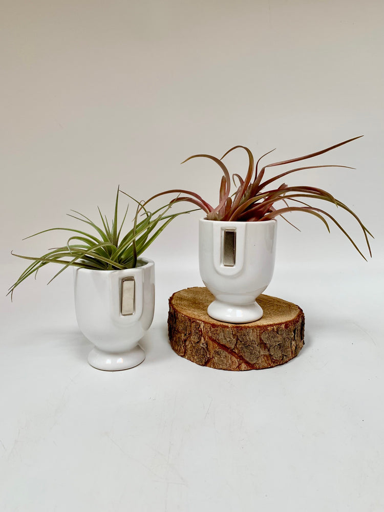 magnetic pot backing - plants saskatoon