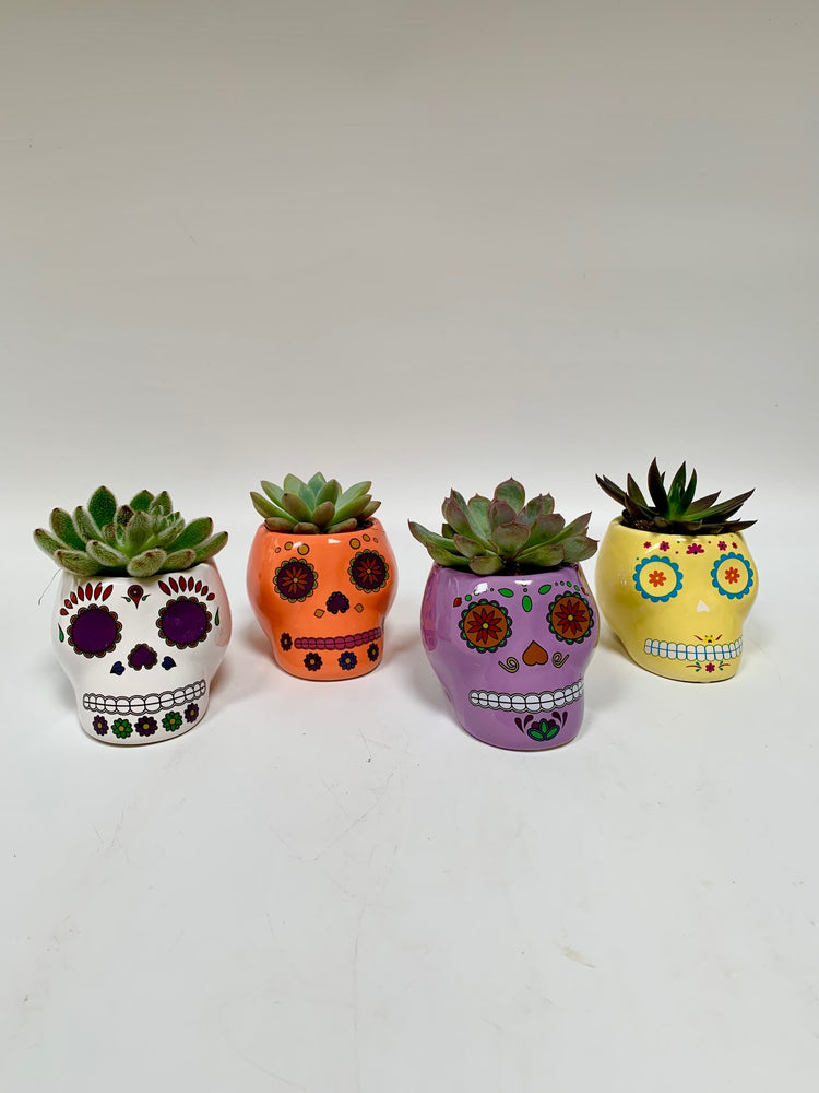 Día de los Muertos