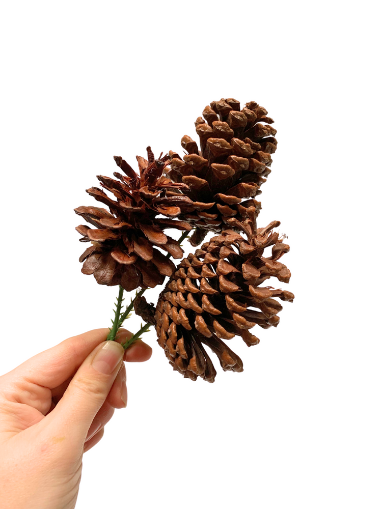 Natural Pinecones - Festive Add-On